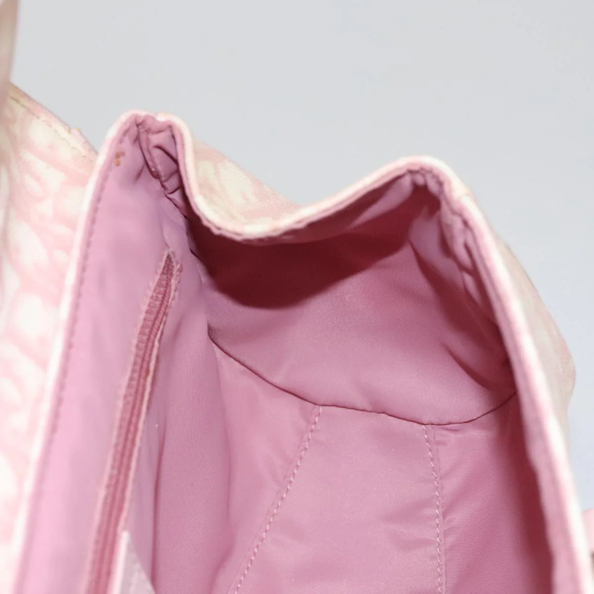 Trotter Canvas Romantic Hand Bag PVC Pink Silver - Image 19