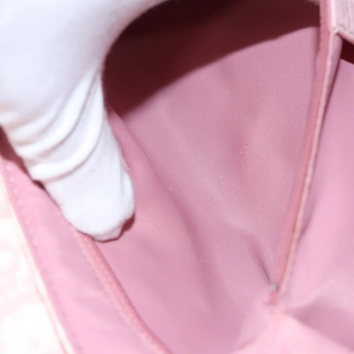 Trotter Canvas Romantic Hand Bag PVC Pink Silver - Image 22